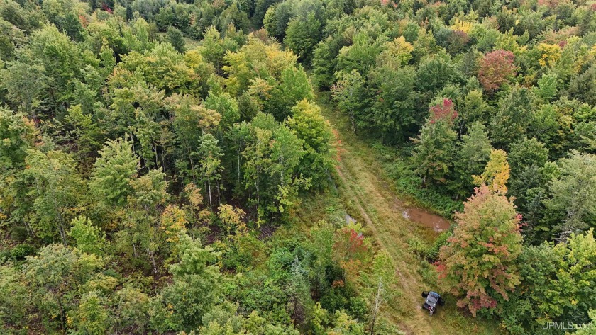 240 acres of pure Upper Peninsula wilderness await you! This - Beach Acreage for sale in Ontonagon, Michigan on Beachhouse.com