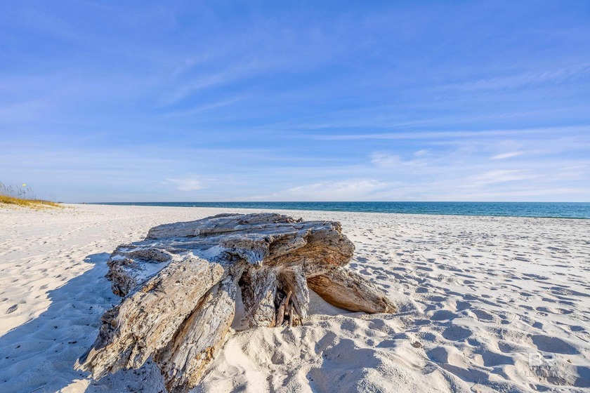 Action packed complex and best return on investment on the coast - Beach Condo for sale in Gulf Shores, Alabama on Beachhouse.com