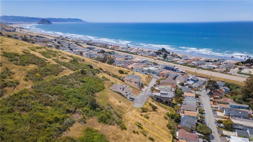 OCEAN VIEW OPPORTUNITY! Hillside lot with ocean views in the - Beach Lot for sale in Cayucos, California on Beachhouse.com