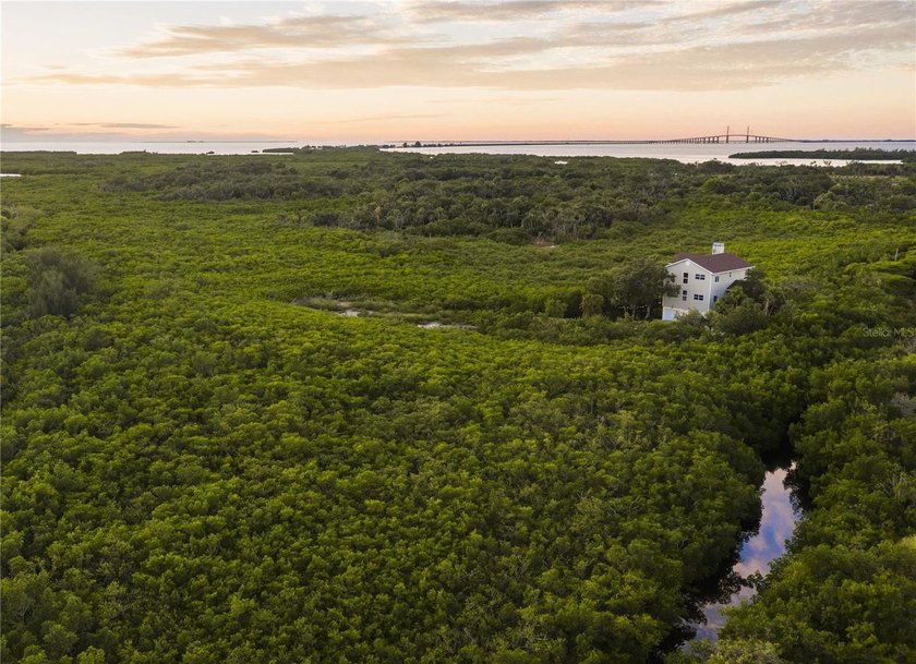 Tucked away in a private, natural setting, this highly upgraded - Beach Home for sale in Terra Ceia, Florida on Beachhouse.com