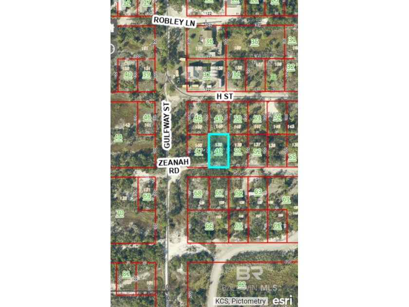 Here is your opportunity to own a slice of paradise with deeded - Beach Lot for sale in Gulf Shores, Alabama on Beachhouse.com