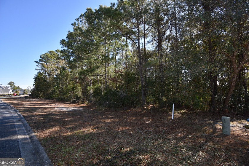 Fantastic building lot in Prestigious Winding River Community - Beach Lot for sale in Saint Marys, Georgia on Beachhouse.com