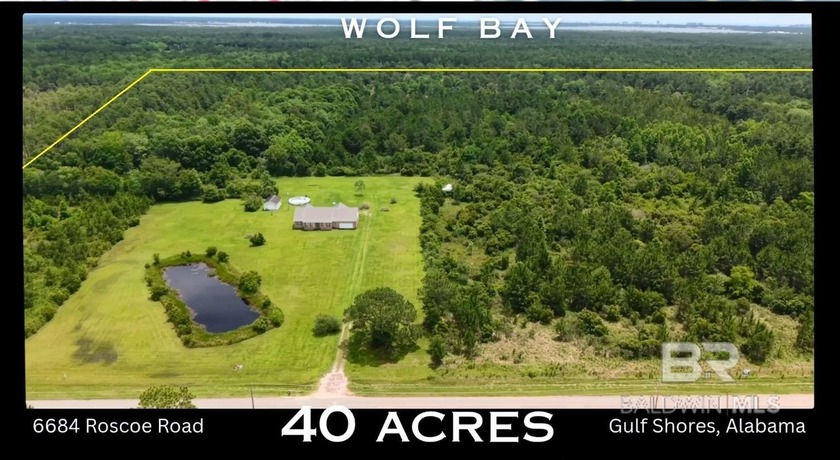 40+/- ACRES. GREAT LOCATION. Only 1/8 mile off the Foley Beach - Beach Acreage for sale in Gulf Shores, Alabama on Beachhouse.com