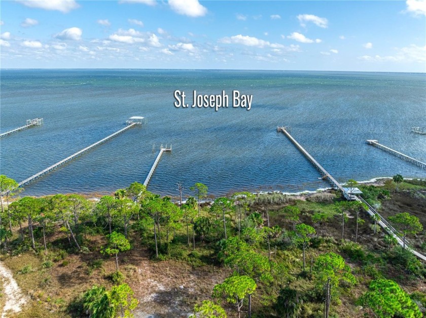 In the heart of Cape San Blas this 3.59 acres is on St Joseph - Beach Acreage for sale in Port ST Joe, Florida on Beachhouse.com