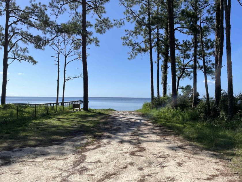 *The most picturesque place in western Florida.* - Lots 15, 16 - Beach Lot for sale in Carabelle, Florida on Beachhouse.com