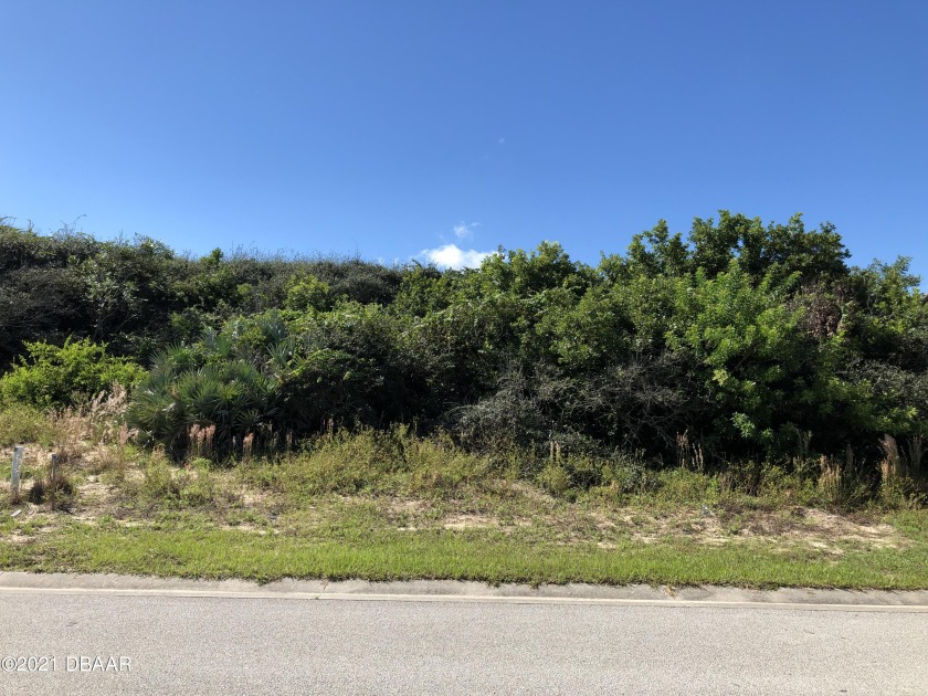 One of the few remaining lots on the beachside in Ormond Beach - Beach Lot for sale in Ormond Beach, Florida on Beachhouse.com