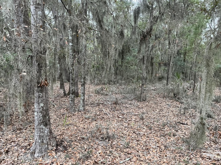 View this beautiful homesite in Grand Oaks Subdivision totaling - Beach Acreage for sale in Beaufort, South Carolina on Beachhouse.com