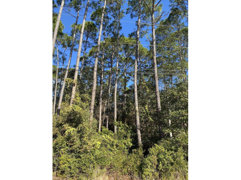 A great opportunity to build your dream home in Navarre! Only - Beach Lot for sale in Navarre, Florida on Beachhouse.com