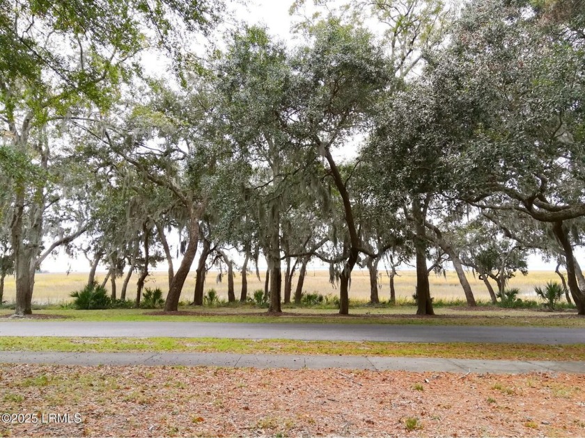 Build your dream home on this marsh-facing lot where you'll - Beach Lot for sale in Beaufort, South Carolina on Beachhouse.com