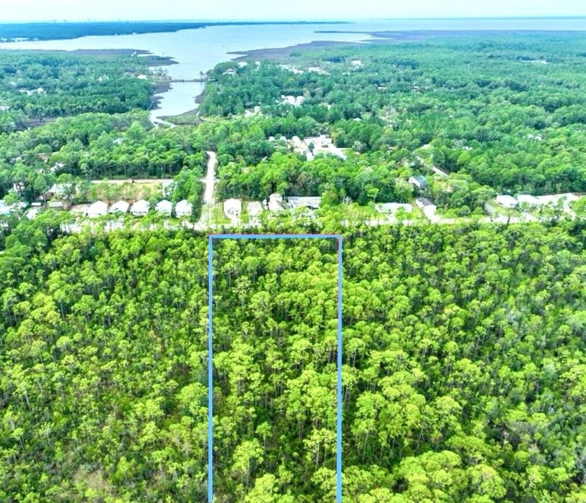 Land for Sale: Premier Development or Private Retreat - Beach Acreage for sale in Santa Rosa Beach, Florida on Beachhouse.com
