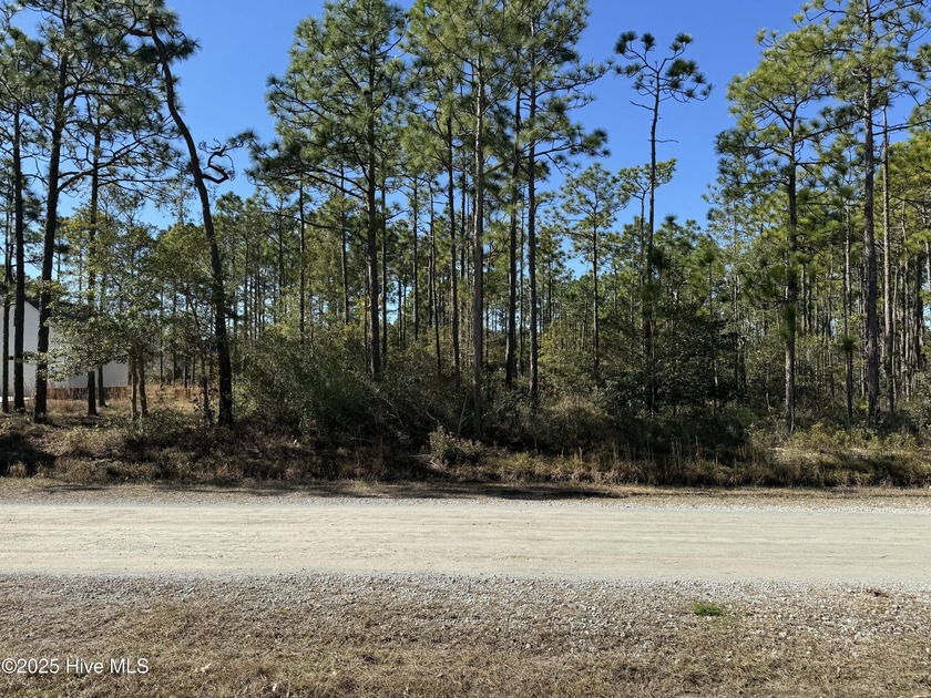 Discover the perfect opportunity to build your dream home or - Beach Lot for sale in Southport, North Carolina on Beachhouse.com