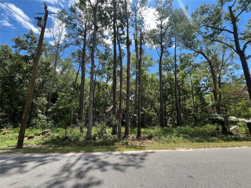 Owner Financing Available - Multi-Lot Opportunity in Lake Ellen - Beach Lot for sale in Crawfordville, Florida on Beachhouse.com