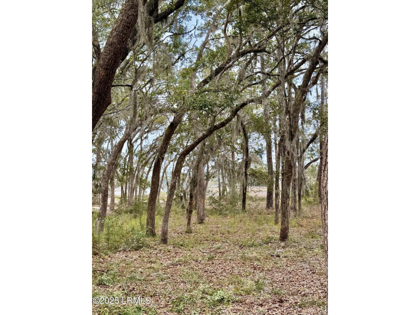 Build your dream home on this beautiful wooded lot on the marsh - Beach Lot for sale in Beaufort, South Carolina on Beachhouse.com