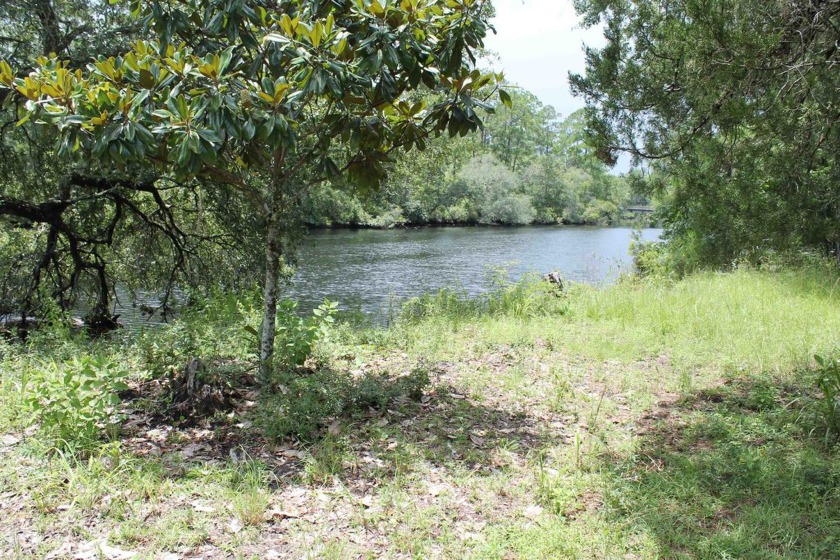 New on the market and one of a kind. This type of water front - Beach Lot for sale in Sopchoppy, Florida on Beachhouse.com
