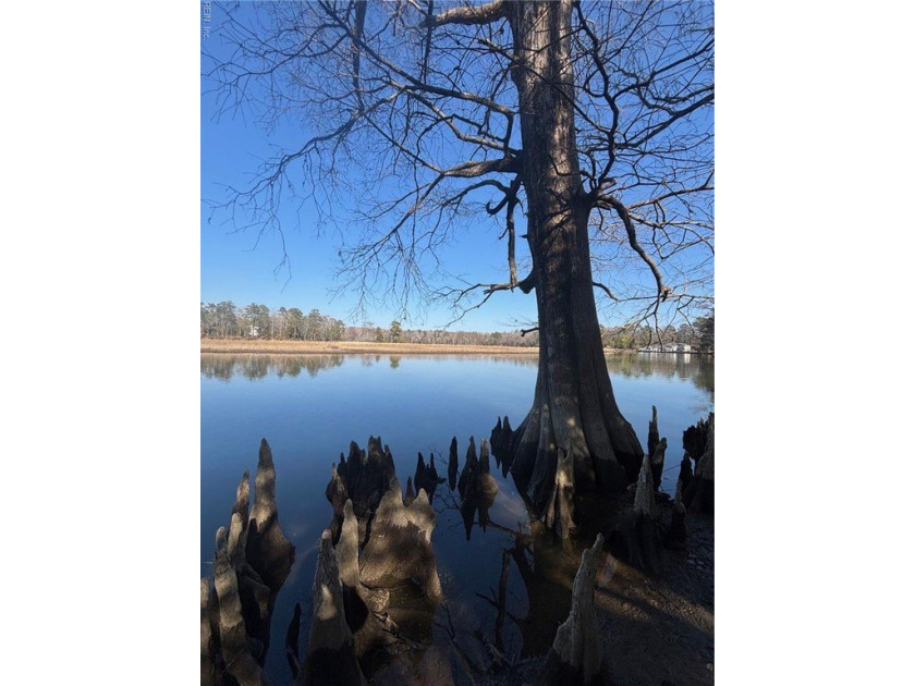 RARE opportunity to own 2.9 acres that includes 116 feet of - Beach Acreage for sale in Williamsburg, Virginia on Beachhouse.com