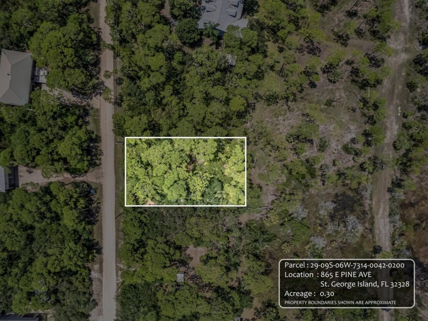 Residential lot located on beautiful St. George Island, minutes - Beach Lot for sale in St. George Island, Florida on Beachhouse.com