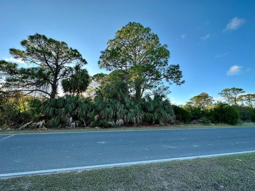 Tired of hustle and bustle?  Take a look at this 1/3-acre marsh - Beach Lot for sale in Cedar Key, Florida on Beachhouse.com