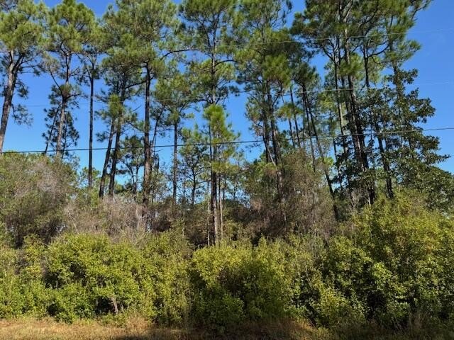 Great Lot to build your dream home in Holley by the Sea! Great - Beach Lot for sale in Navarre, Florida on Beachhouse.com