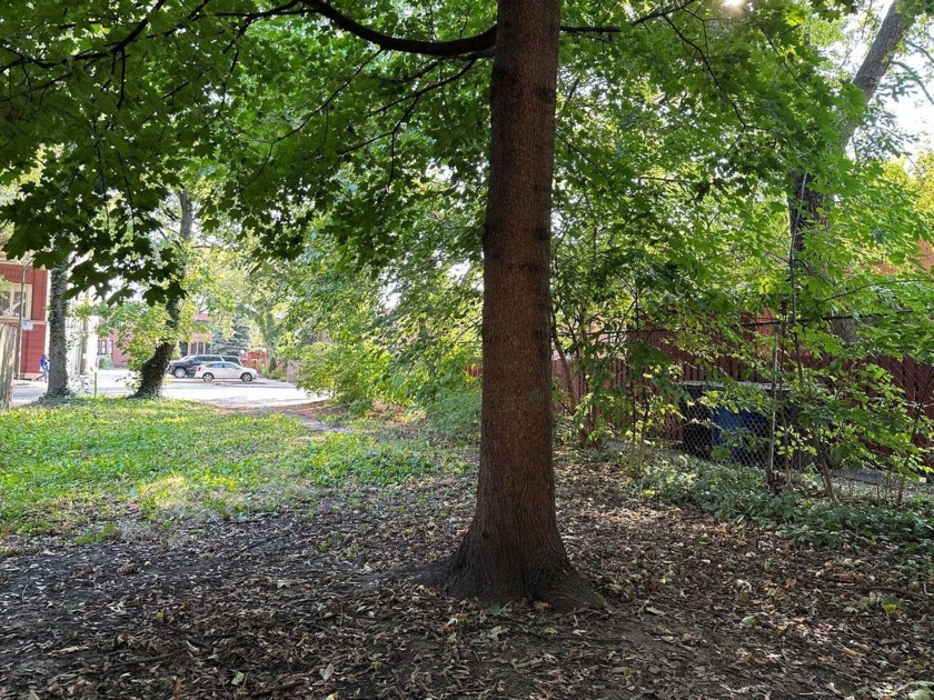 Lovely, leafy lot at the end of the quiet cul de sac on 52nd St - Beach Lot for sale in Chicago, Illinois on Beachhouse.com