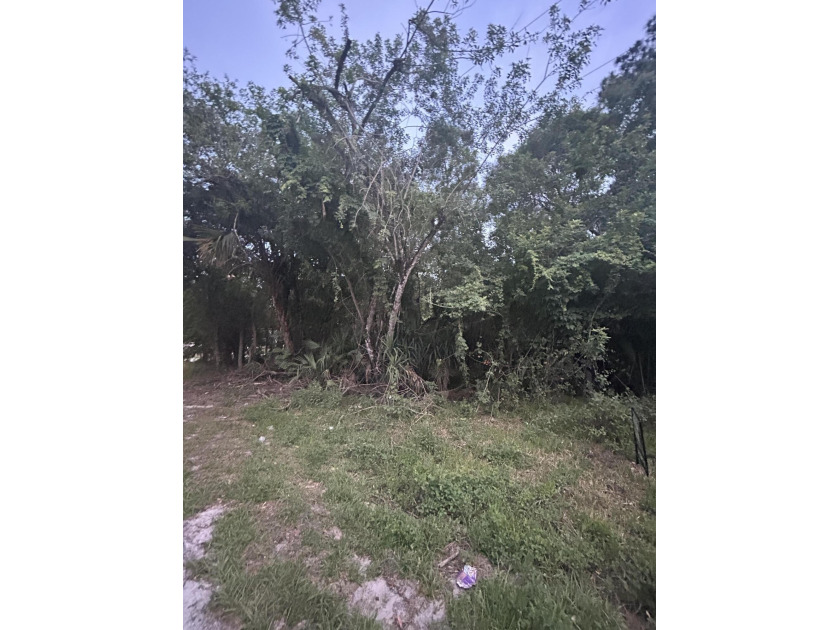 Huge Residential Corner Lot for sale! Build your Dream Home! - Beach Lot for sale in Vero Beach, Florida on Beachhouse.com