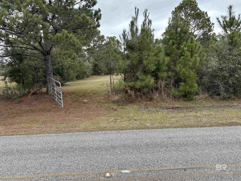 Large plot of land in the Spear Subdivision.  Lot is partially - Beach Acreage for sale in Lillian, Alabama on Beachhouse.com