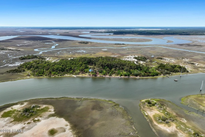 Imagine owning your own Private Island! Pine Island, located - Beach Acreage for sale in Daufuskie Island, South Carolina on Beachhouse.com