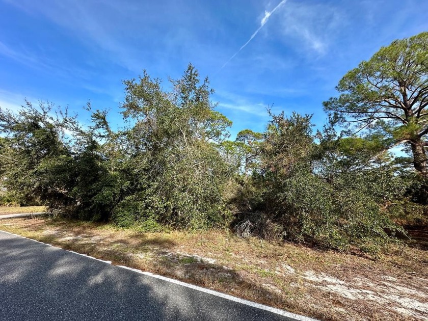 Here's your chance to snag a terrific homesite--on the unspoiled - Beach Lot for sale in Cedar Key, Florida on Beachhouse.com