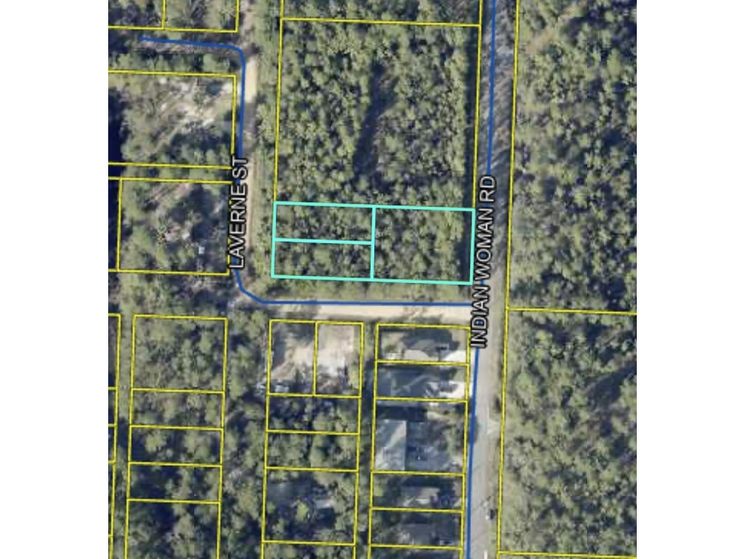 Land for Sale: Premier Development or Private Retreat - Beach Lot for sale in Santa Rosa Beach, Florida on Beachhouse.com