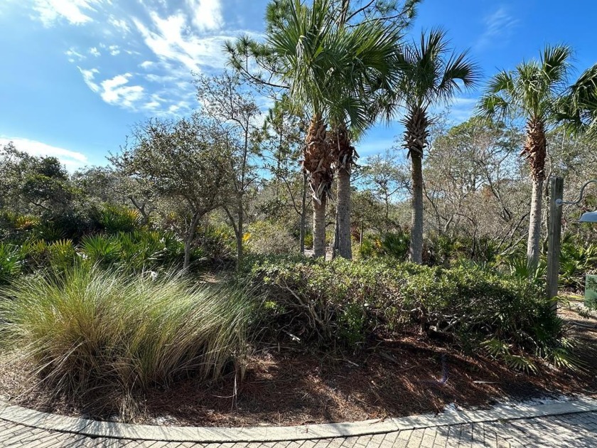 This beautiful lot in upscale Anchor Cove is waiting for your - Beach Lot for sale in Cedar Key, Florida on Beachhouse.com