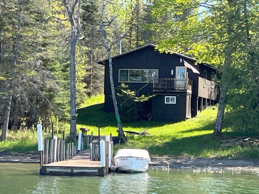 Enjoy this charrming little cottage on LaSalle Island with a - Beach Home for sale in Cedarville, Michigan on Beachhouse.com