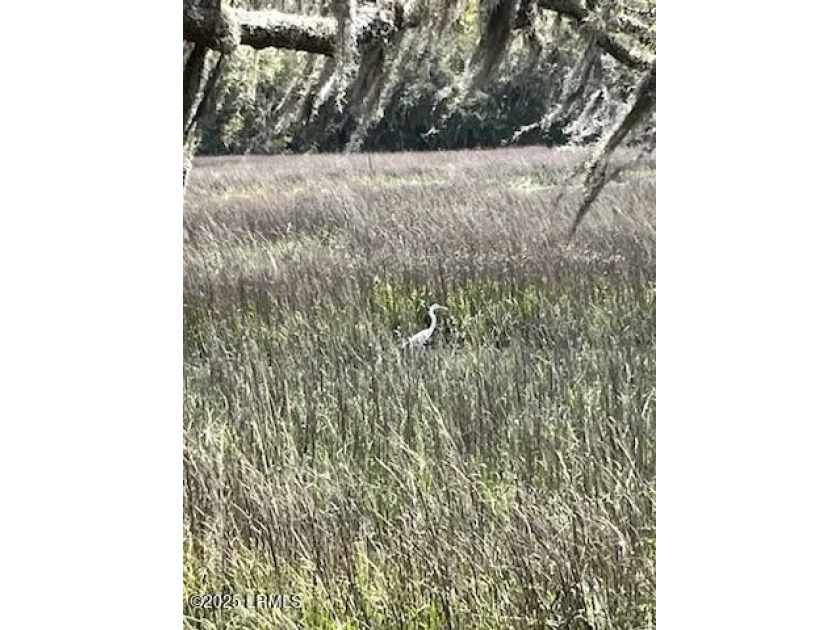 Beautiful tidal creek lot located in the gated community of - Beach Lot for sale in Saint Helena Island, South Carolina on Beachhouse.com