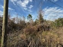Build Your Dreams in New Smyrna Beach! 2.5 Acres of opportunity - Beach Acreage for sale in New Smyrna Beach, Florida on Beachhouse.com