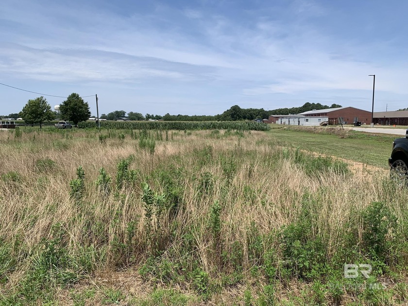 Bring your builder!!! Don't miss this great location! Centrally - Beach Acreage for sale in Daphne, Alabama on Beachhouse.com