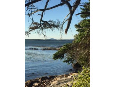 Beautiful oceanfront lot with 225' of deep water frontage. Build - Beach Acreage for sale in Steuben, Maine on Beachhouse.com
