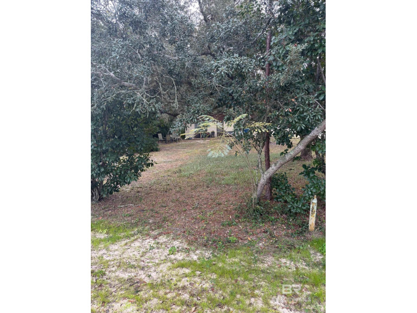 NEW PRICE!!  MOTIVATED SELLERS!  WATER VIEWS OF ARNIKA BAY in - Beach Home for sale in Orange Beach, Alabama on Beachhouse.com