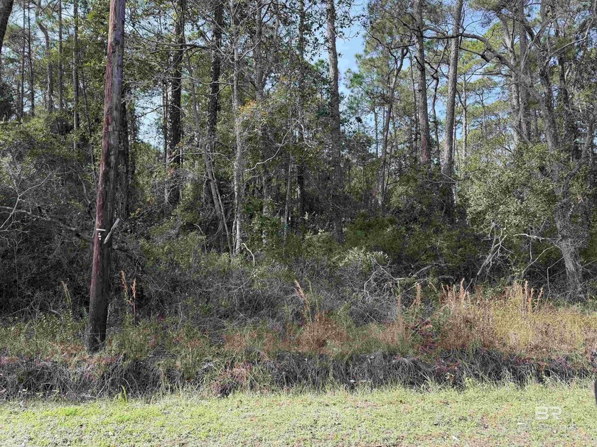 Beautiful wooded residential lot on Dauphin Island, measuring - Beach Lot for sale in Dauphin Island, Alabama on Beachhouse.com