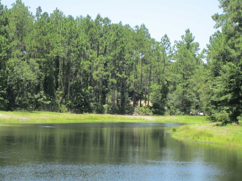 Beautiful lakefront lot on Cumberland Harbour Blvd. 103'x154' - Beach Lot for sale in Saint Marys, Georgia on Beachhouse.com