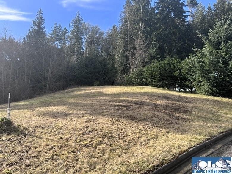 Beautiful, level lot in a neighborhood of upscale homes with - Beach Lot for sale in Port Angeles, Washington on Beachhouse.com