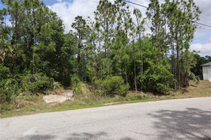 *Discover serenity on this stunning half-acre plot nestled in - Beach Lot for sale in North Port, Florida on Beachhouse.com