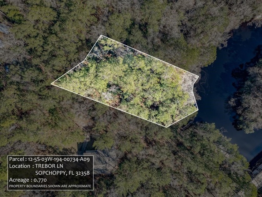 Beautifully wooded lot on the Sopchoppy River. Own a little - Beach Lot for sale in Sopchoppy, Florida on Beachhouse.com