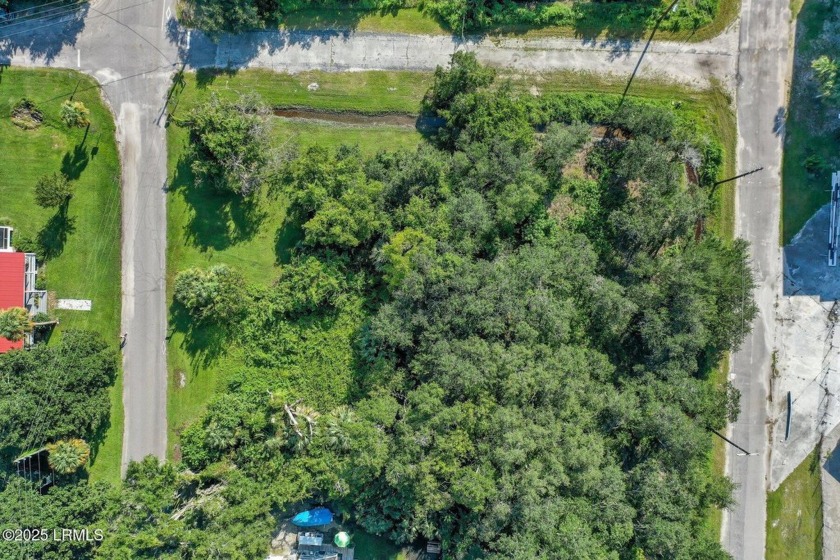 Don't miss your chance to be part of Port Royal's enchanting - Beach Lot for sale in Port Royal, South Carolina on Beachhouse.com