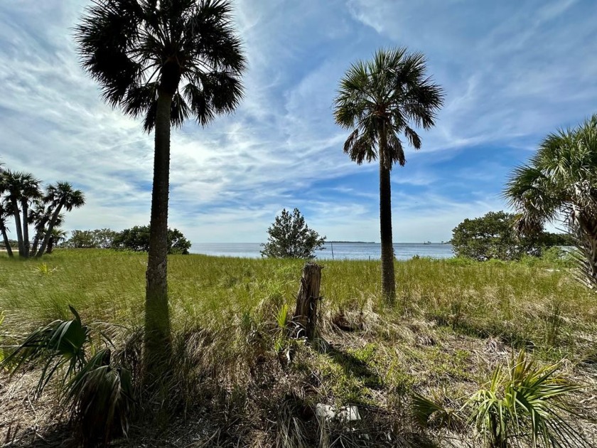 Take a look at this absolutely AMAZING water front lot with the - Beach Lot for sale in Cedar Key, Florida on Beachhouse.com
