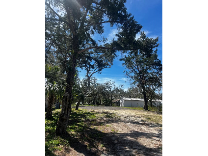 Income Producing Turn Key lot set up for two Rv's. This interior - Beach Lot for sale in Horseshoe Beach, Florida on Beachhouse.com