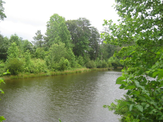 LAKE LOT WITH GOOD VIEWS.  WATER ACCESS TO GREAT WICOMICO RIVER - Beach Lot for sale in Heathsville, Virginia on Beachhouse.com