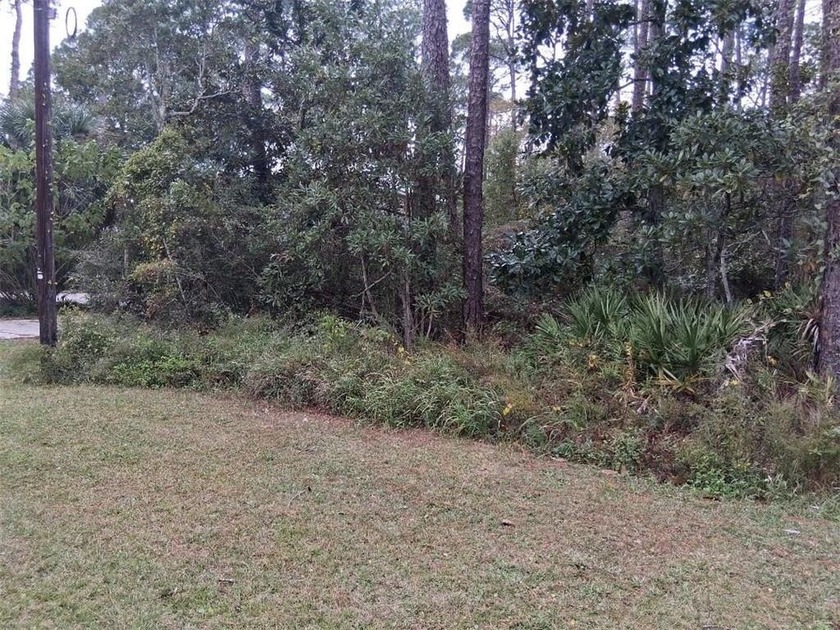 Are you are Builder looking to build your next Spec Home on - Beach Lot for sale in Dauphin Island, Alabama on Beachhouse.com