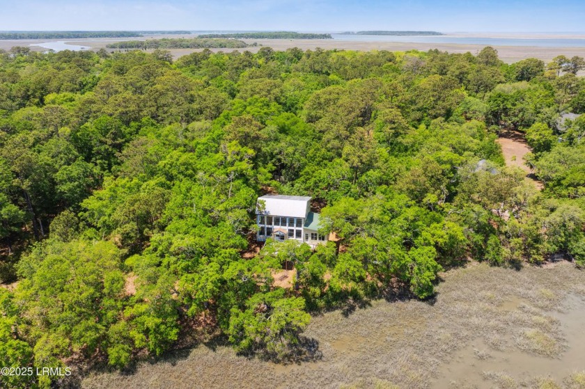Wake up in the trees, watch the water. Perched among live oaks - Beach Home for sale in Saint Helena Island, South Carolina on Beachhouse.com