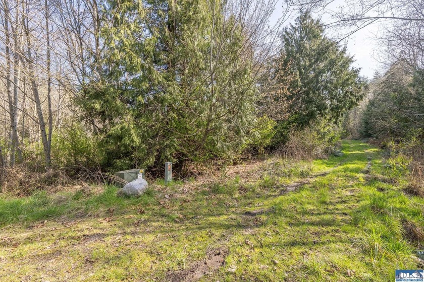 $10,000 PRICE REDUCTION! Don't miss this secluded, serene - Beach Acreage for sale in Port Angeles, Washington on Beachhouse.com