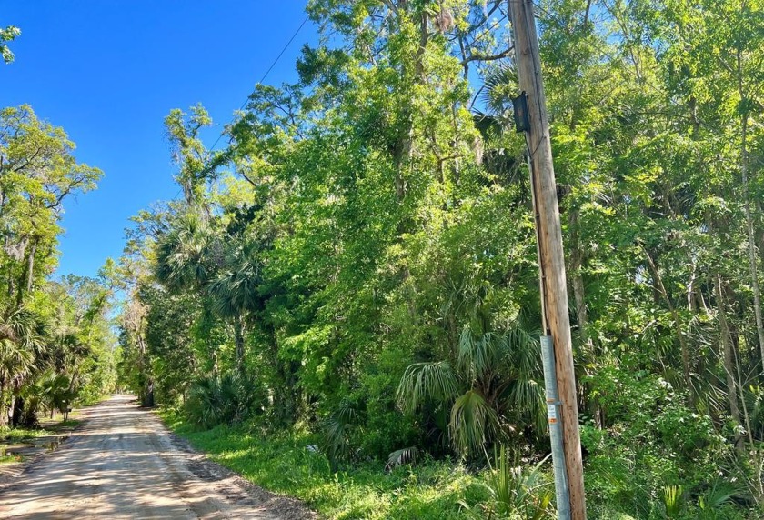Just under an acre located in the sought after fishing community - Beach Lot for sale in Steinhatchee, Florida on Beachhouse.com