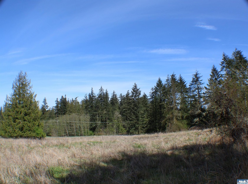 Discover your slice of paradise in the heart of the Pacific - Beach Acreage for sale in Sequim, Washington on Beachhouse.com