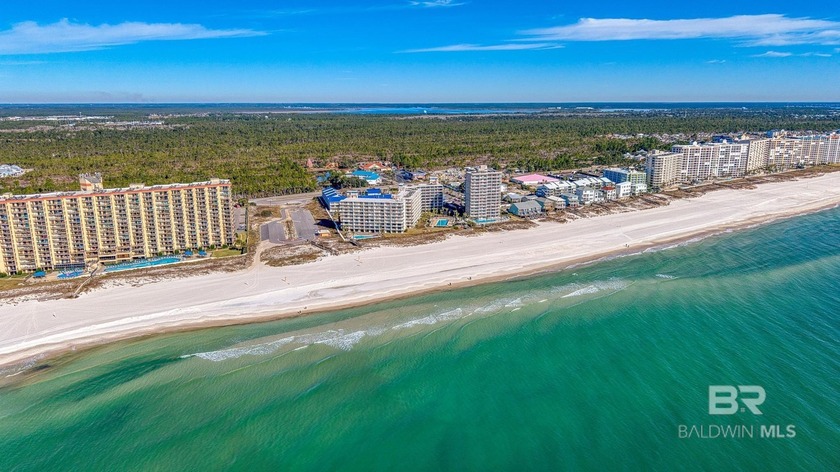 Experience coastal bliss in this 5th-floor, Gulf-front retreat - Beach Condo for sale in Orange Beach, Alabama on Beachhouse.com